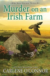 bokomslag Murder on an Irish Farm