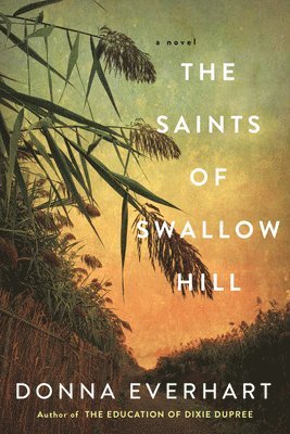 bokomslag Saints of Swallow Hill