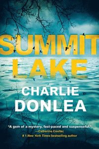 bokomslag Summit Lake