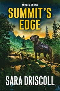 bokomslag Summits Edge