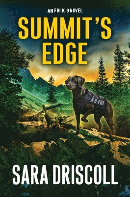 bokomslag Summit's Edge