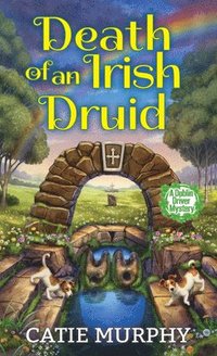 bokomslag Death of an Irish Druid