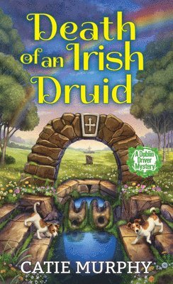 bokomslag Death of an Irish Druid