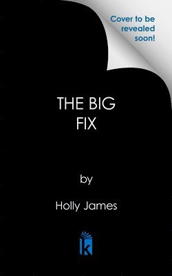 bokomslag The Big Fix