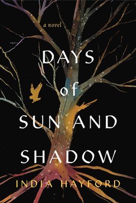 Days of Sun and Shadow