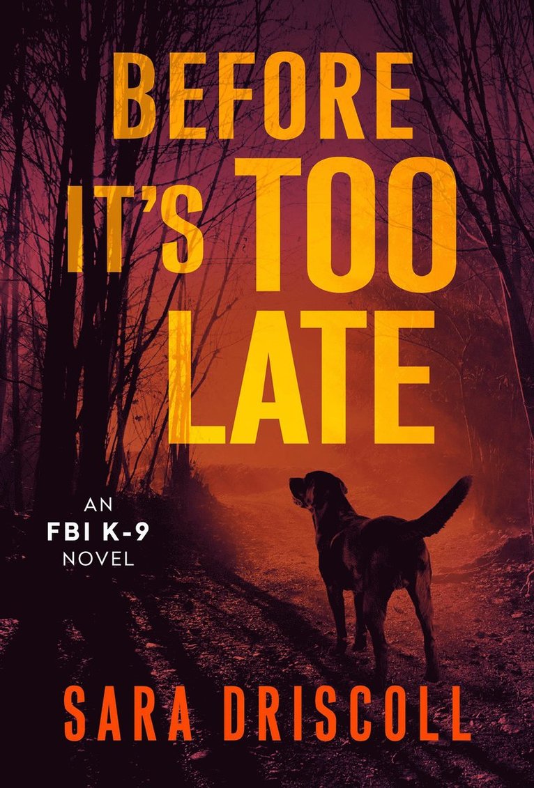 Before It's Too Late