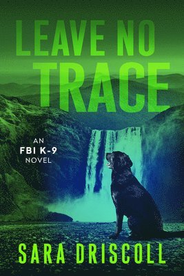 Leave No Trace 1