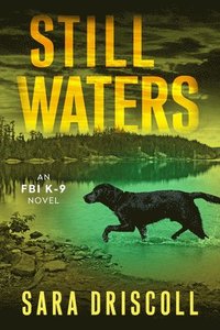 bokomslag Still Waters: A Riveting Novel of Suspense