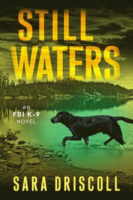 Still Waters