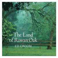 bokomslag The Land of Rowan Oak