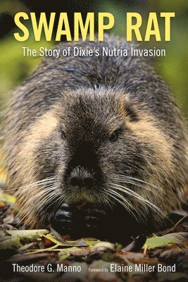bokomslag Swamp Rat