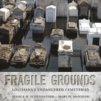 bokomslag Fragile Grounds