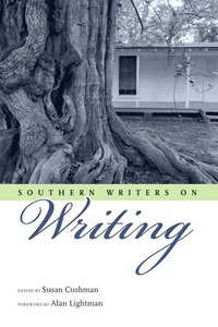 bokomslag Southern Writers on Writing