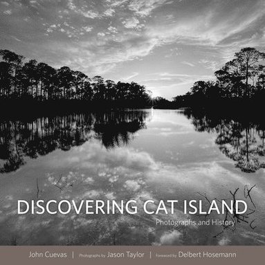 bokomslag Discovering Cat Island