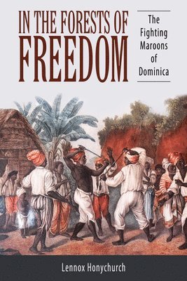 bokomslag In the Forests of Freedom: The Fighting Maroons of Dominica