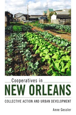 bokomslag Cooperatives in New Orleans