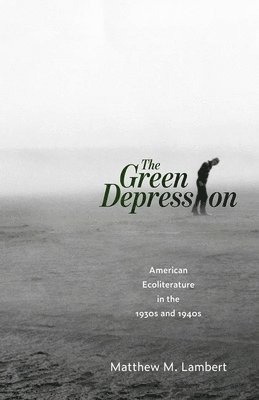 bokomslag The Green Depression