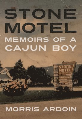 bokomslag Stone Motel