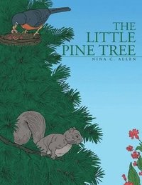 bokomslag Little Pine Tree