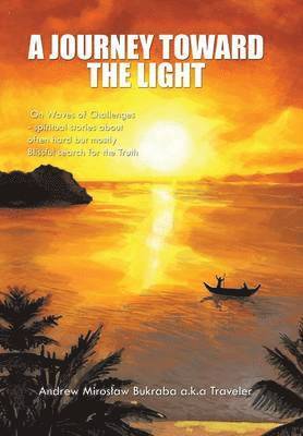 bokomslag Journey Toward the Light