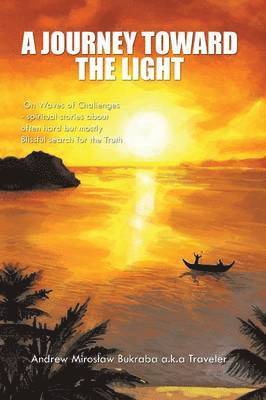 bokomslag Journey Toward the Light