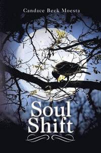 bokomslag Soul Shift
