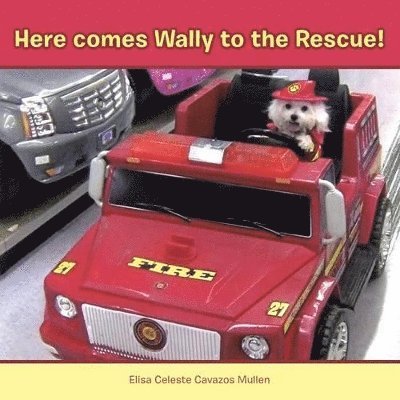 Here Comes Wally to the Rescue! 1