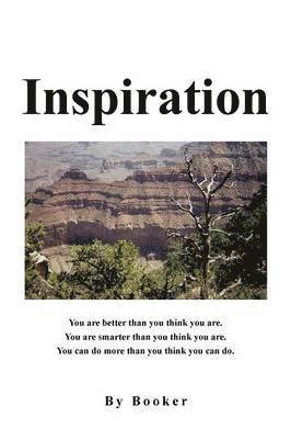 bokomslag Inspiration