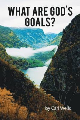 bokomslag What Are God's Goals?