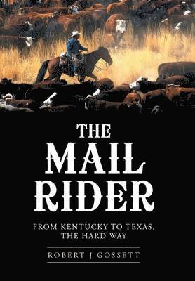 bokomslag Mail Rider