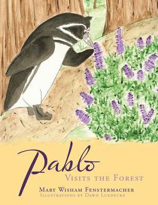 Pablo Visits the Forest 1