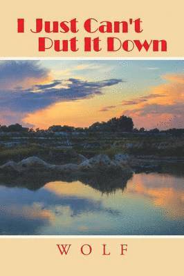 I Just Can't Put It Down