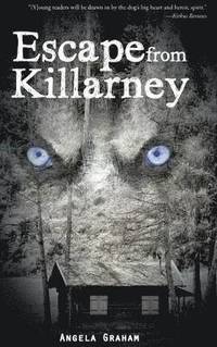 bokomslag Escape from Killarney