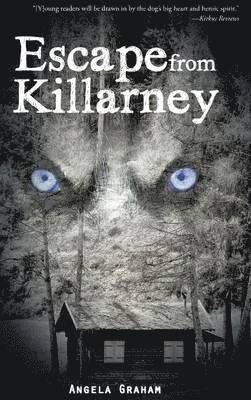 Escape from Killarney 1