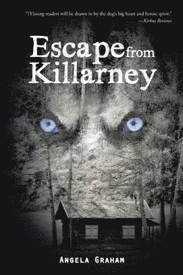 bokomslag Escape from Killarney