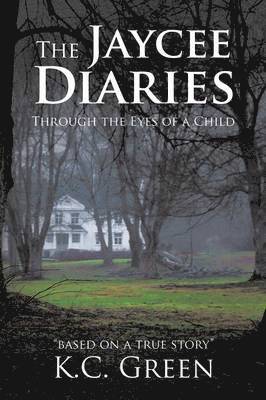 K C Green, K. C. Green, K.C. Green - Jaycee Diaries, Häftad