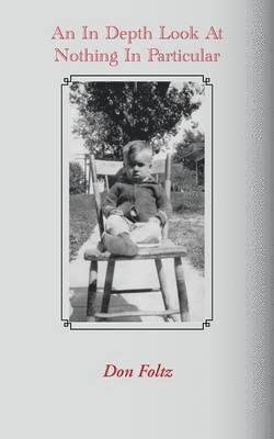 Don Foltz - in Depth Look at Nothing in Particular, Häftad