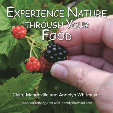 bokomslag Experience Nature Through Your Food