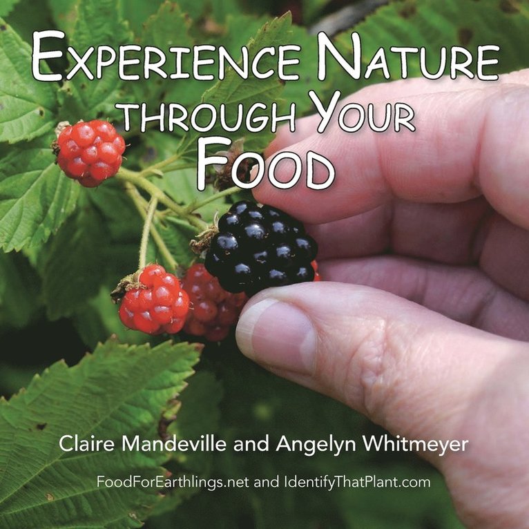 Claire Mandeville, Angelyn Whitmeyer - Experience Nature Through Your Food, Häftad