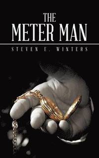 bokomslag Meter Man