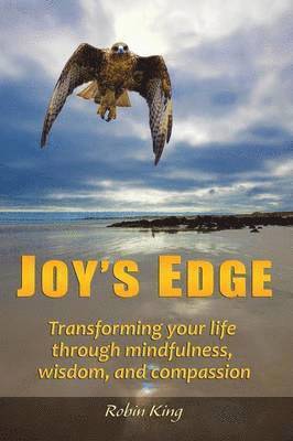 Robin King - Joy's Edge, Häftad