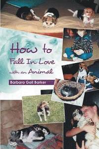 bokomslag How to Fall in Love with an Animal