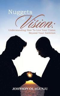 bokomslag Nuggets of Vision