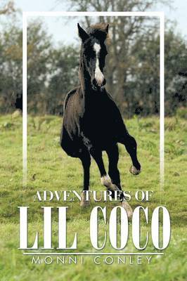 Adventures of Lil Coco 1