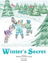 bokomslag Winter's Secret
