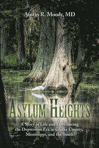 bokomslag Asylum Heights