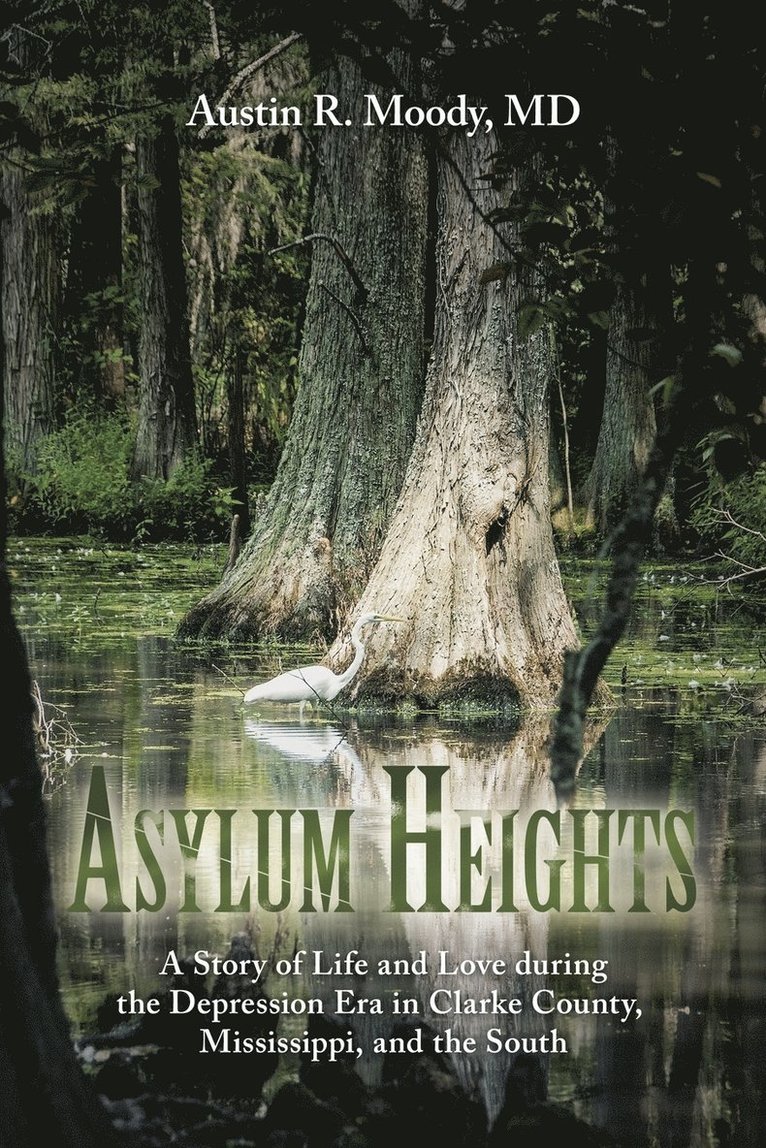 Asylum Heights 1