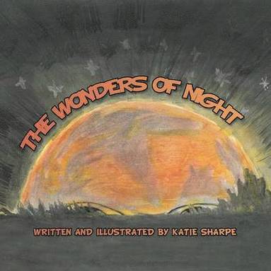 bokomslag Wonders of Night