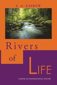 bokomslag Rivers of Life