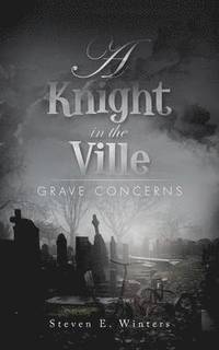 bokomslag Knight in the Ville